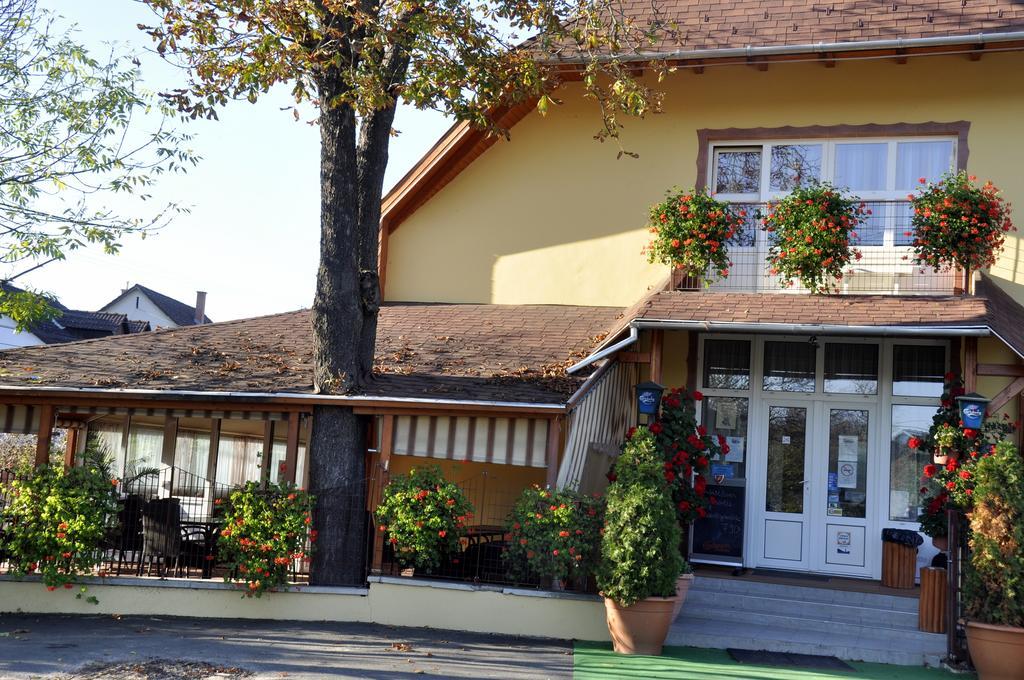 Tengerszem Panzio Bed and Breakfast Bánk Exteriör bild
